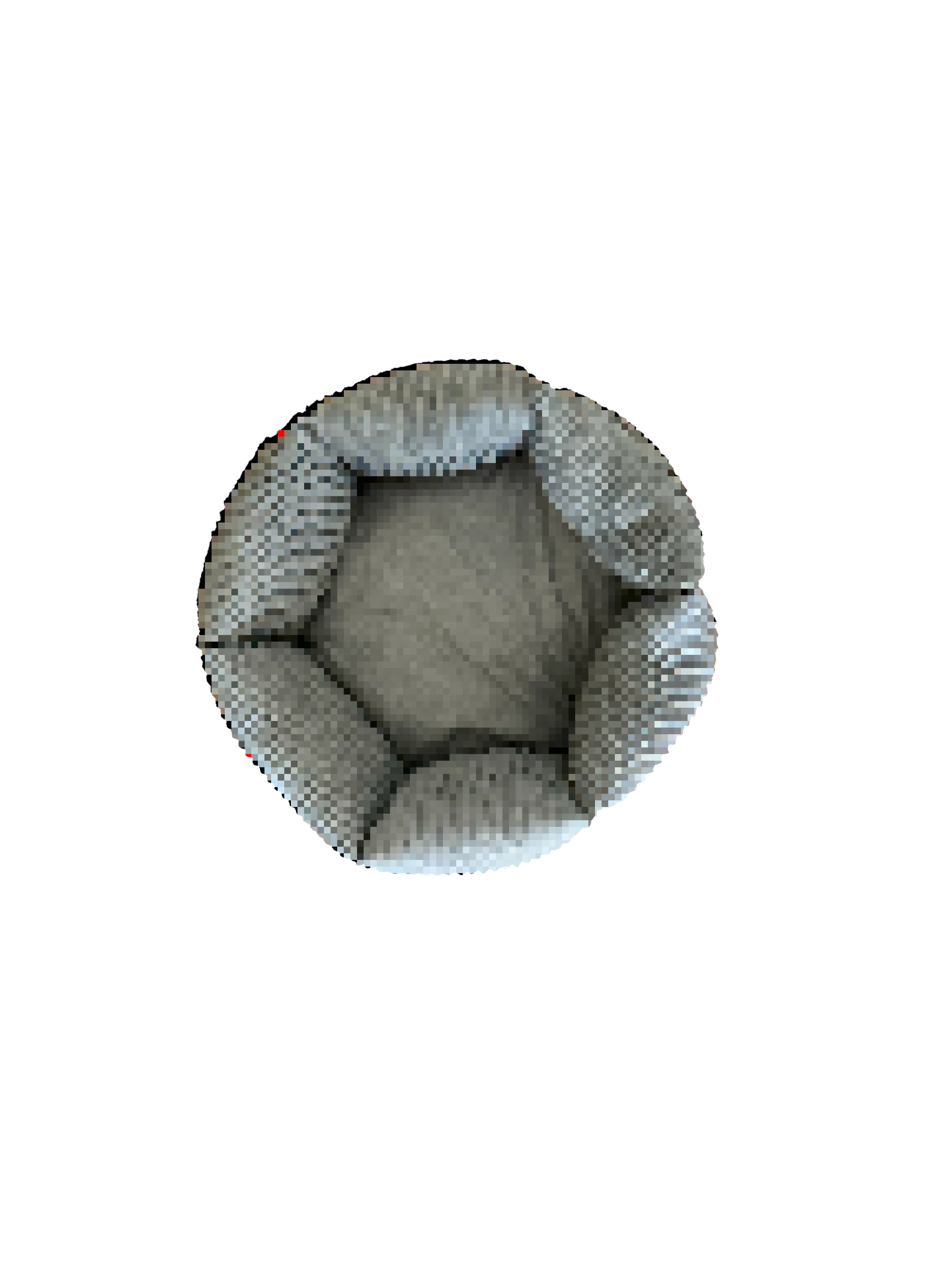 Doggy Bed