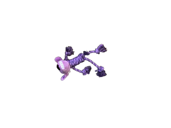 Dog Toy